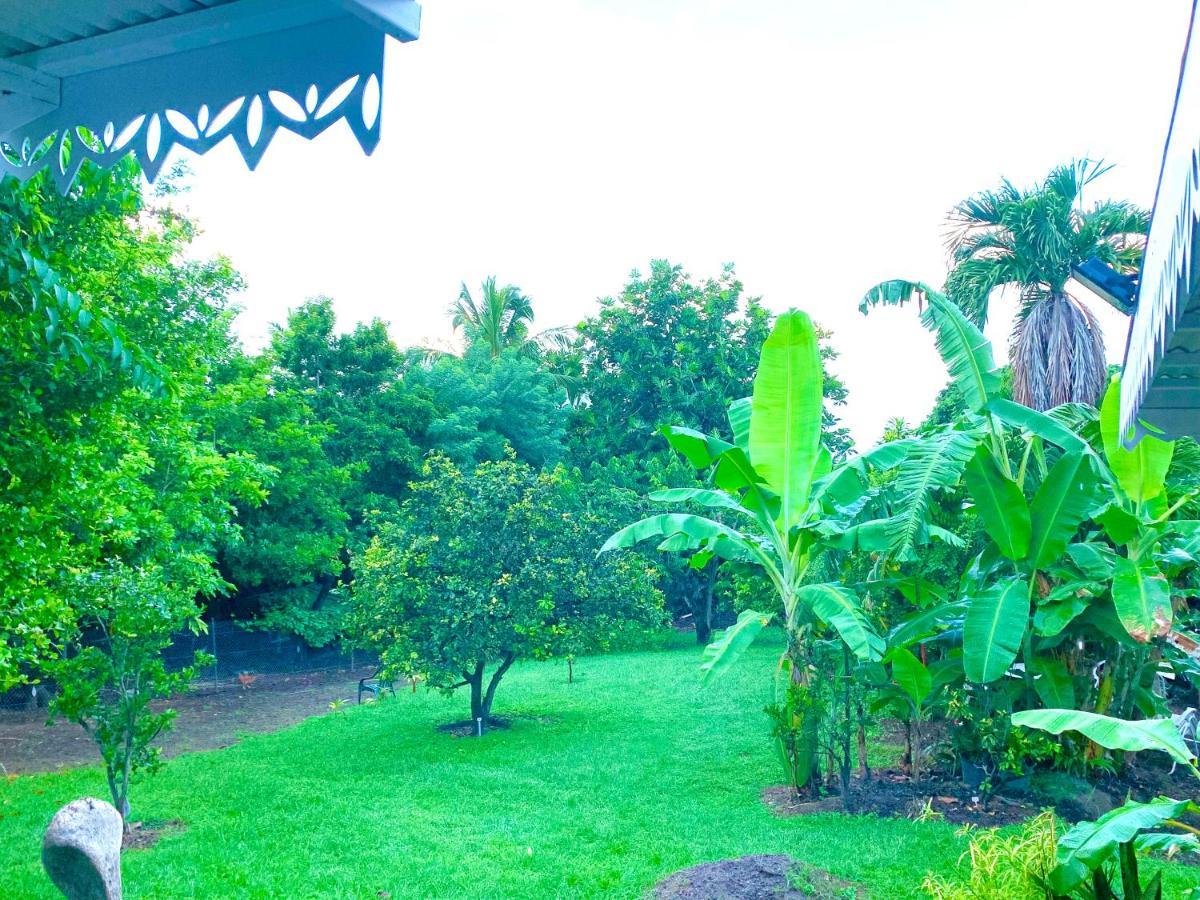 Lodge Pamplemousse Avec Piscine Privative , Dans Parc Calme A 500 M Plage لو كاربيت المظهر الخارجي الصورة